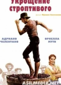 Укрощение строптивого
