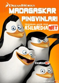 Madagaskar pingvinlari / Madakaskar pinvinlari Barcha qismlar HD Multfilm Uzbek tilida 2008