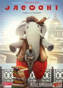 Элефант 2019 Tas-ix skachat