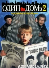 Один дома 2