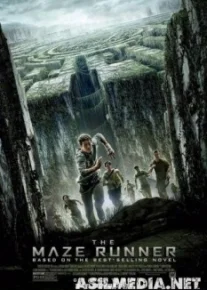 The Maze Runner