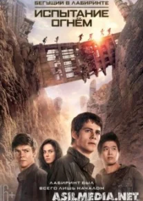 Бегущий в лабиринте: Испытание огнём