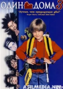 Один дома 3