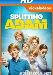Расщепление Адама