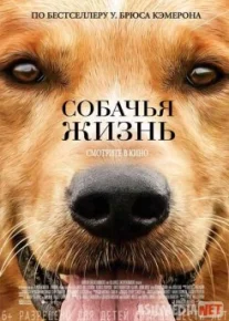 Sadoqat timsoli Uzbek tilida 2017 O'zbekcha tarjima film Full HD skachat