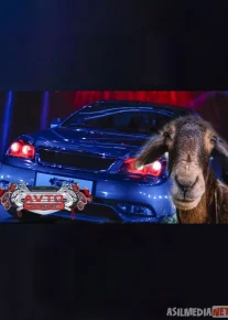 Avto tuning Zo'rtv / Auto Tuyning Zortv barcha qismlar / Hamma sonlar 1,2,3,4,5,6,7-sonlar