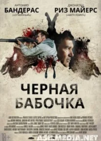 Черная бабочка