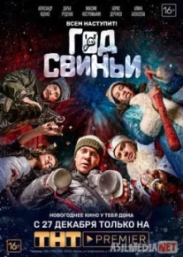 Год свиньи TAS-IX