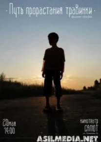 Путь прорастания травинки