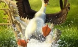 Папа-мама гусь (Смотреть Tas-ix)