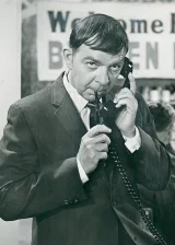 Вудроу Парфри