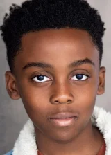 Энтони Би Дженкинс