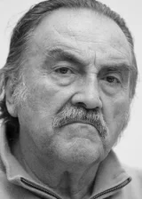 Педро Армендарис мл.