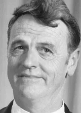 Вольфганг Райтерман