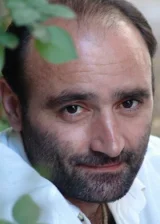 Гия Гогишвили