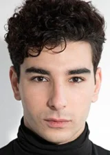 Fares Landulsi