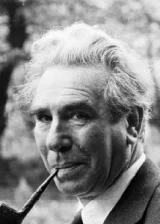 Дональд Вулфит