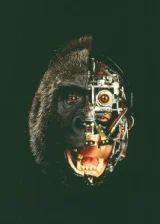 Питер Эллиотт