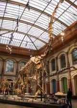 Жираффатитан