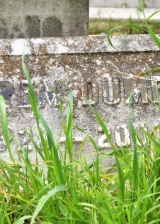 Экрем Думер