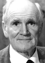 Десмонд Ллевелин