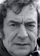 Жюльен Гиомар