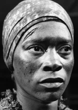 Новелла Нельсон