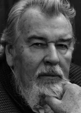 Бернхард Викки