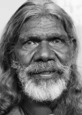 Дэвид Галпилил