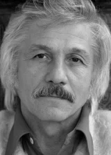 Михай Волонтир